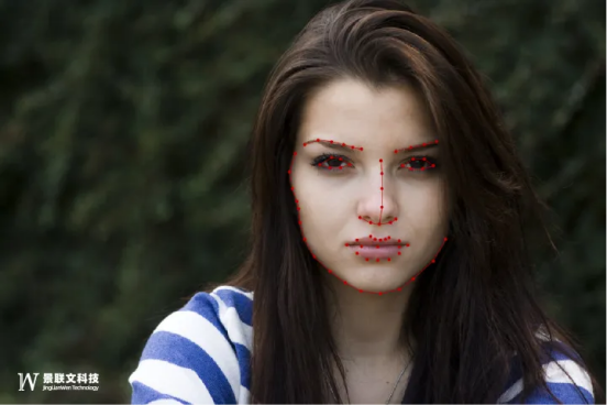 蓝冠注册科技：一文详解关键点标注